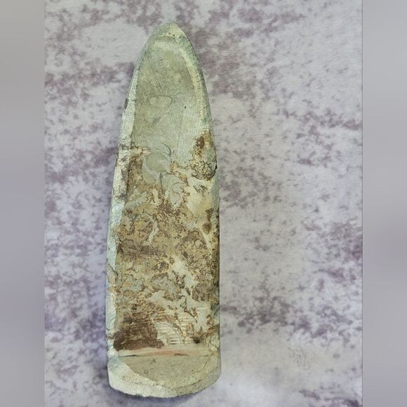 Orthoceras Fossils Self Standing - Picture 5 of 16